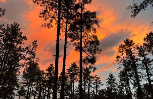 Mountain Cabin Retreat in the Pines - Foto 21