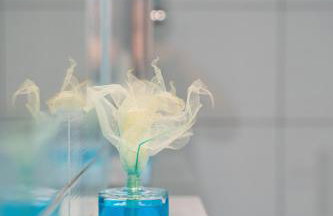 Lavanda home - Foto 69