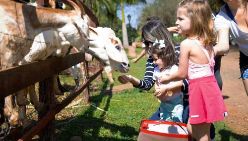 Hotel Fazenda Areia que Canta - Foto 4