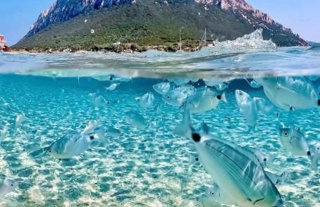 Villa Vittoria San Teodoro, a 2 minuti dalle spiagge - Foto 20