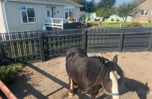 Moneydarragh Cottage with uninterrupted mountain and sea views- Hot tub available for hire at extra cost - Photo 20