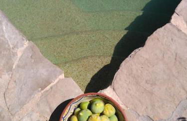 Casa do Sul - Foto 21