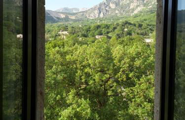 Giardino Donna Lavia - Foto 26