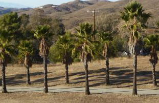 Mansion on the Hill let 4 Rooms, 5th cost extra - Foto 66