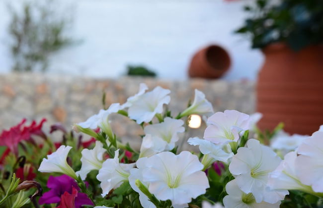 Gorgeous Villa with Garden - Stavros Beach - Foto 41