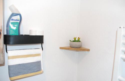 Studio Nancy quartier Thermal - Parc Sainte-Marie - Foto 20