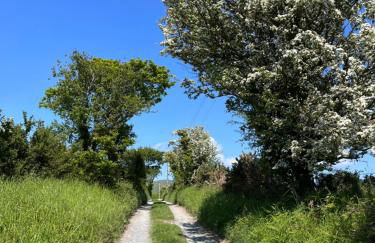 Romantic Snowdonia Cottage with Hot tub, sea & mountain views - Foto 8