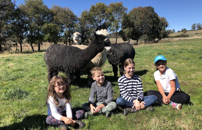 High Country Trail Rides & Farm Stay - Foto 19