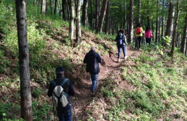 Casa Vacanze Margherita - Sasso di Castalda - Foto 22