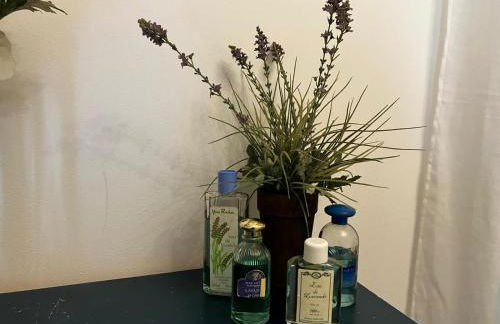 Gîte des Lavandes - Foto 10