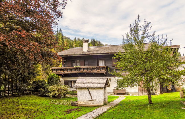 Schwarzenegg - Foto 9