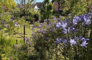 The Old Cheese Press, Eckington - Foto 57