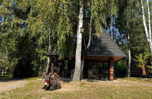 Piramida w uniesieniu - Photo 22