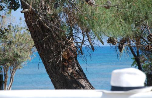 Casa Montzo boutique hotel - Foto 27