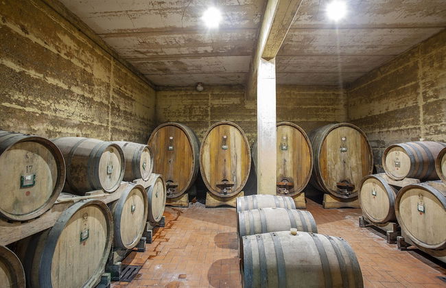 Tenuta Moriano - Foto 53