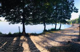 Domek wypoczynkowy w lesie nad jeziorem - Foto 30