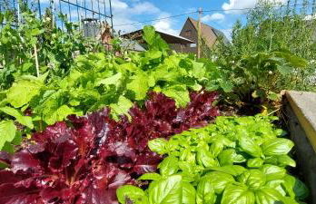 HERZstück Erzgebirge - Foto 31