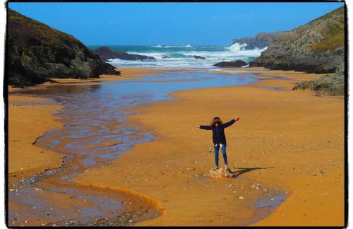 KerSauvage Hamlet house on Quiberon - Foto 8