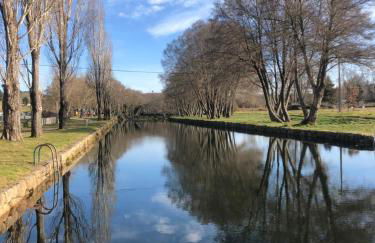 Sabugal Comfort - Central Castelo - Foto 22