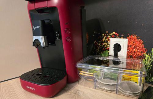 Rückzugsort mit Bergblick in Baiersbronn-Obertal - beheizter Wintergarten & kostenfreier Parkplatz - 70qm Ferienwohnung - Foto 59