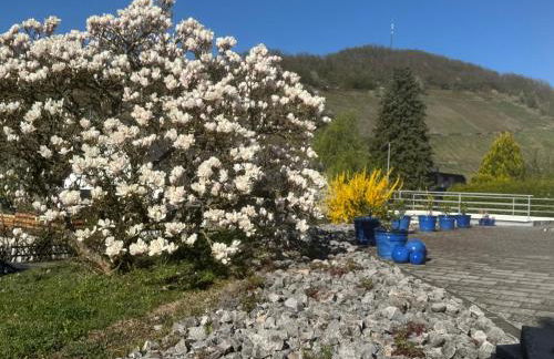 Gästehaus Ina-Maria, Apartments - Foto 11