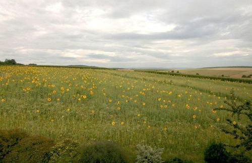 Am Turm Modern retreat - Foto 26