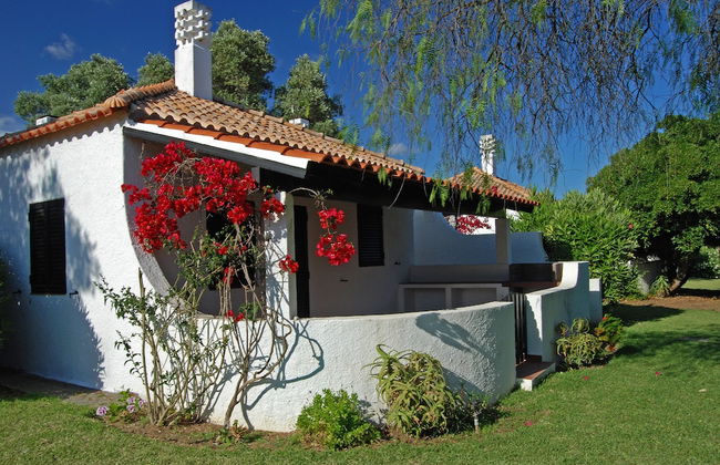 Pedras d'el Rei - Foto 34