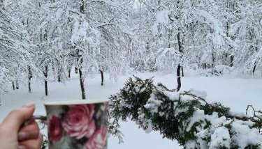 Relaxing Mountain House Poljana in Lika - Foto 5