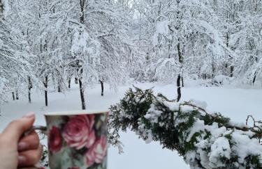 Relaxing Mountain House Poljana in Lika - Foto 5