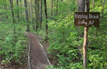 Peaceful Hideaway Treehouse near Little River Canyon - Foto 25