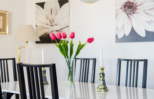 Puerto Paraíso - Foto 6