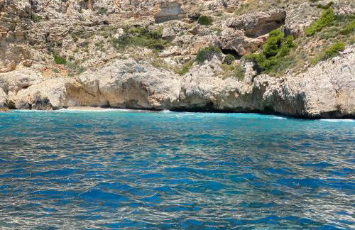 XabiaDecision - Foto 27