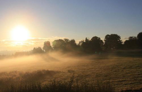Ferienhof Zollfrank - Foto 57
