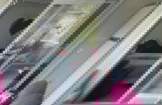 Cosy Park Apartment - Foto 5