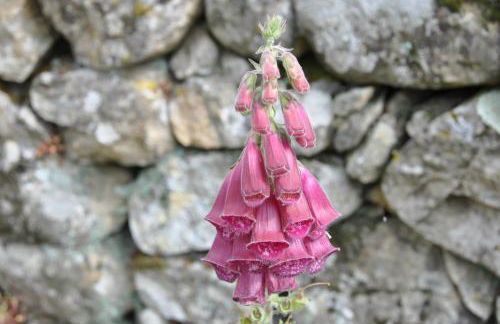 Casa Rural Las Jañonas CC-CR-00219 - Foto 34