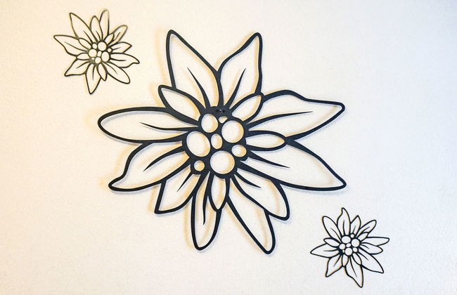 Daheim – Edelweiß - Foto 11