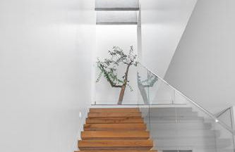 Fazendinha by Real Vision - Foto 16