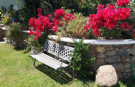 Casa Acqua Marina Ponza - Foto 12