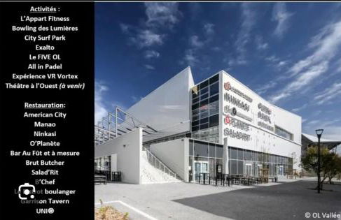 Cosy Decines Groupama Stadium-LDLC Arena Climatisé - Foto 24