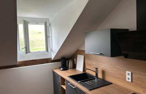 Winzervilla Kammerhof - 3x stilvolle & geräumige FeWos mit Moselblick, 2-12 Gäste buchbar, direkt am Moselradweg - Foto 37