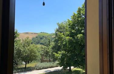 Monte Pagliaio - Foto 33