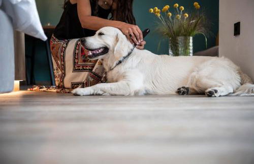 Sambucus Apartments -Premium Apartments for You and Your Dog - Photo 6