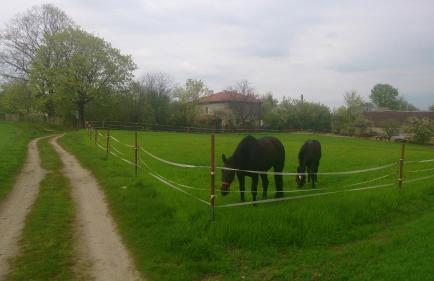 Nasza Wioska - Foto 76