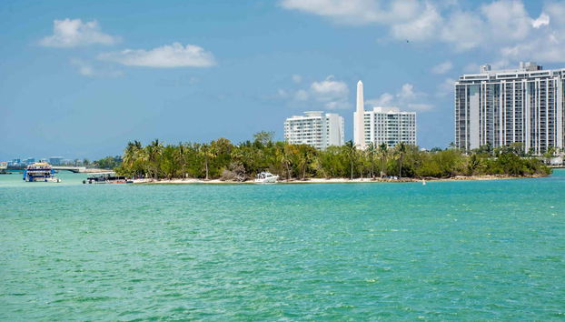 Profitez de la journée