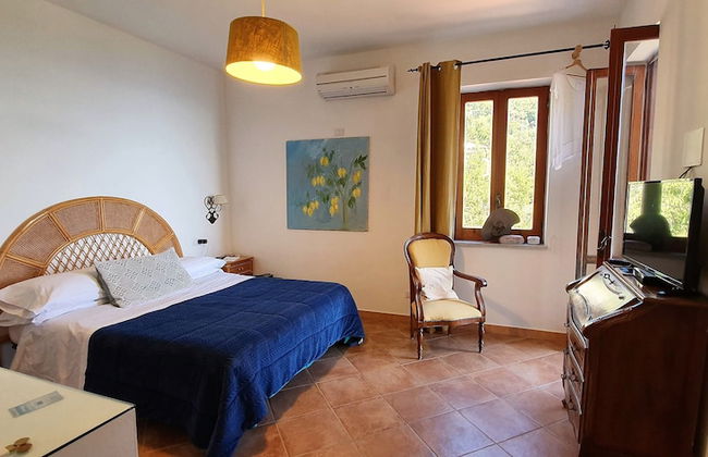 Fattoria Terranova - Foto 12