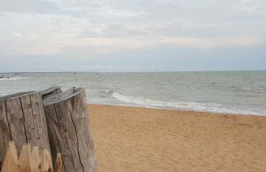 La maison du Petit Pin - Foto 25