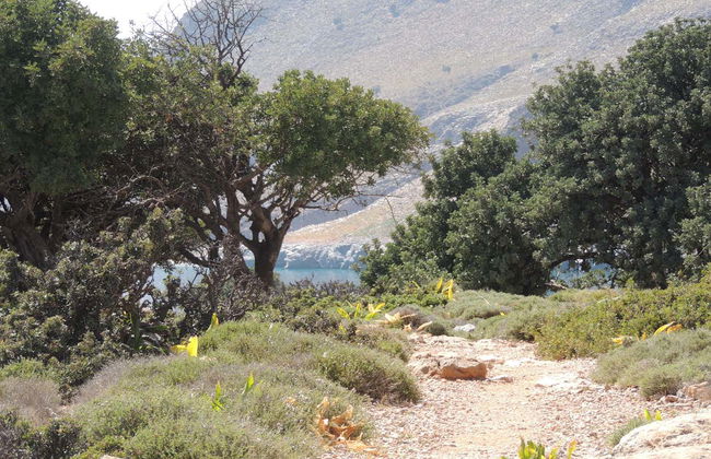 Tour de 4x4 pela meseta de Katharo e garganta de Sarakina - Foto 7