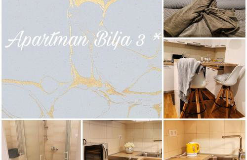 Apartman Bilja 3* - Photo 27