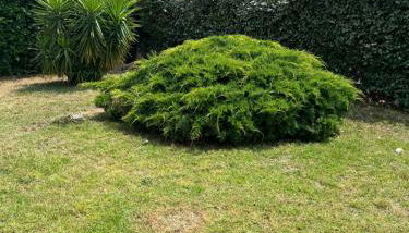 Villa Marine de Solaro - Foto 3