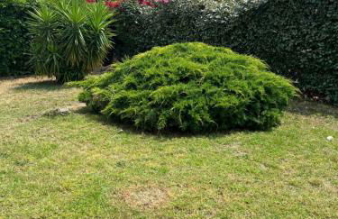 Villa Marine de Solaro - Foto 3